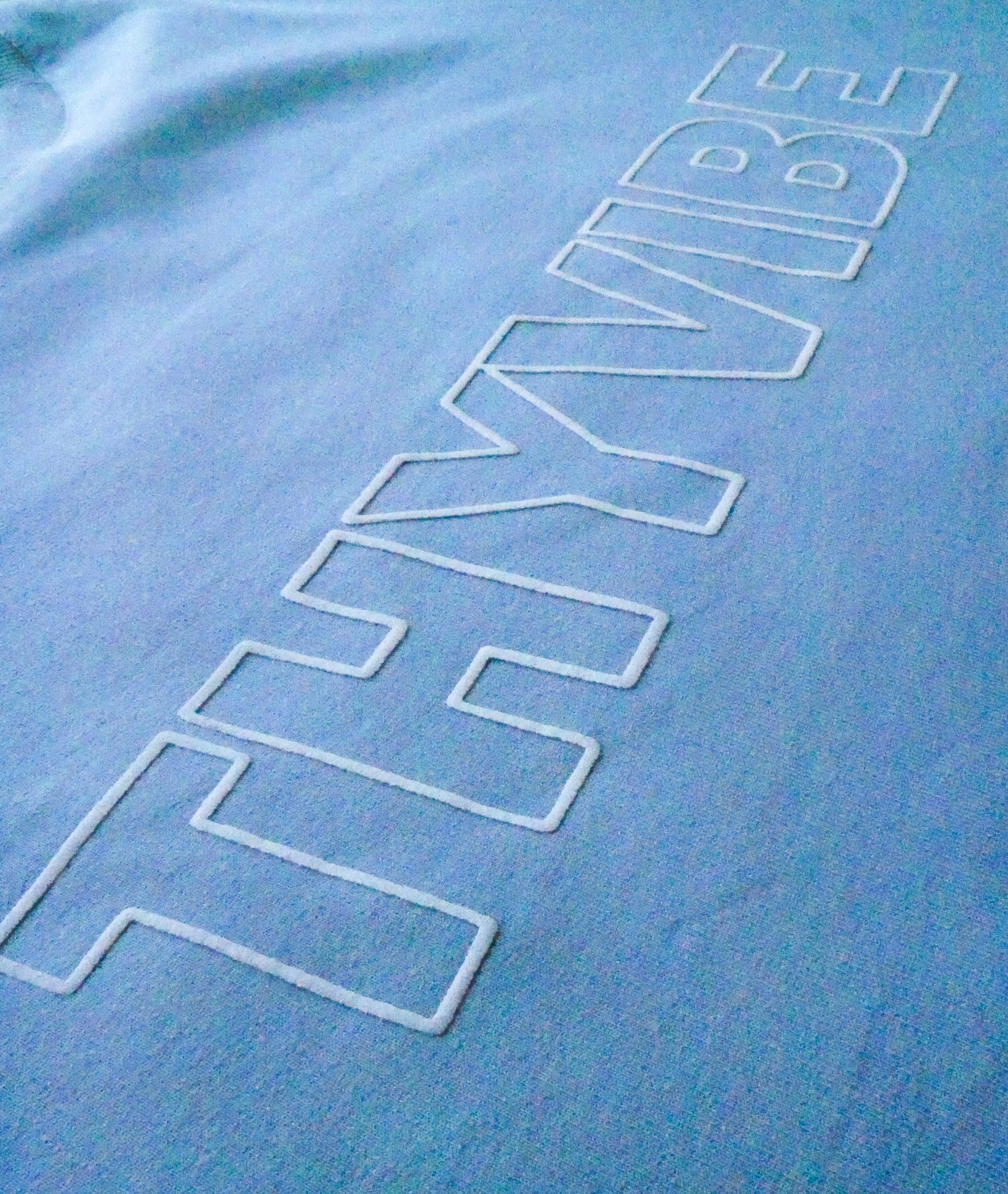 Light Blue Regular Fit T-shirt